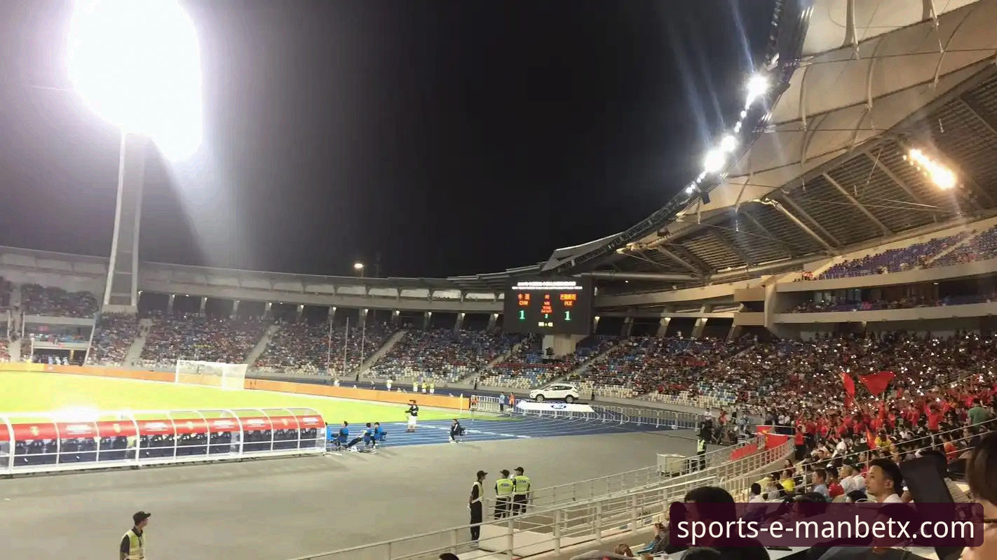 帕尼切利重伤事件深度评测：阿根廷战术版图与球迷观赛平台选择分析